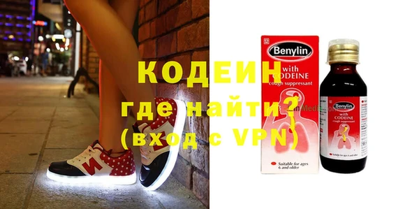 мдпв Гусев