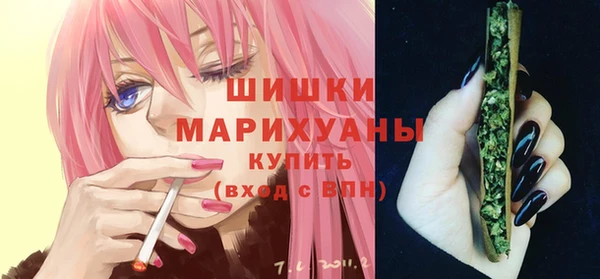 дживик Гусь-Хрустальный