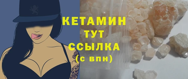 мдпв Гусев