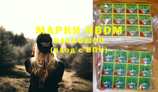 мдпв Гусев