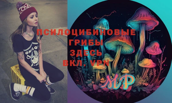 дживик Гусь-Хрустальный