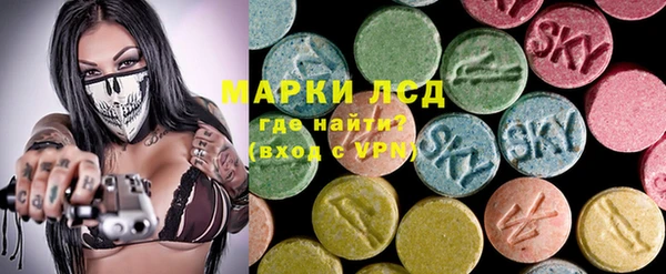 мдпв Гусев
