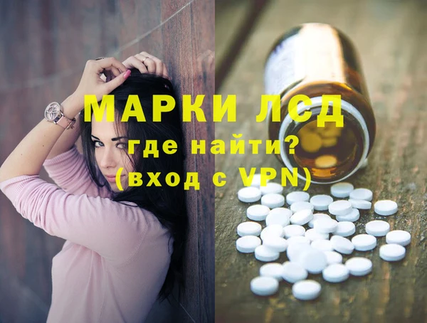 мдпв Гусев