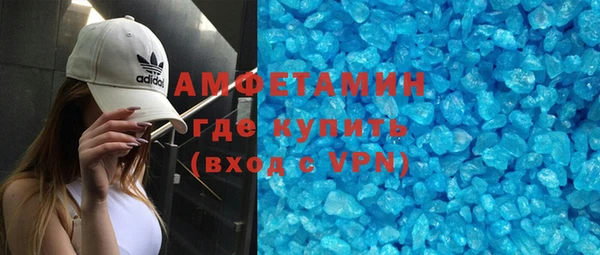 мдпв Гусев