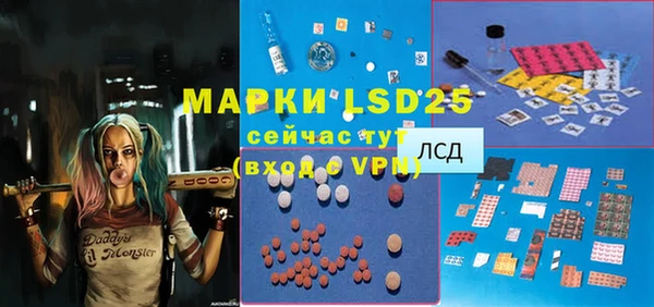 мдпв Гусев