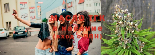 мдпв Гусев