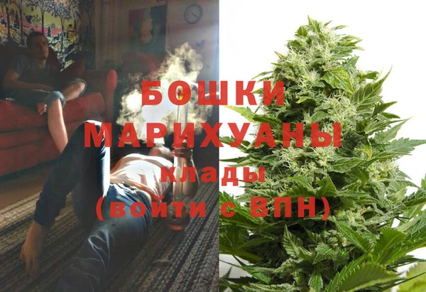 дживик Гусь-Хрустальный