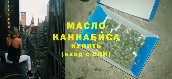 мдпв Гусев
