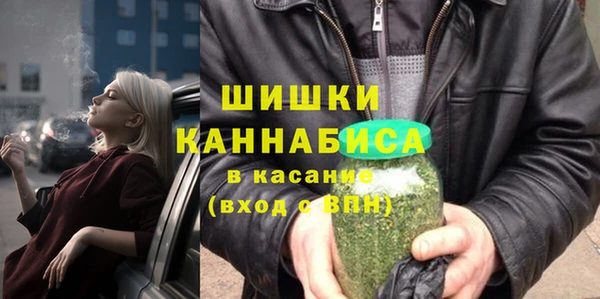 мдпв Гусев