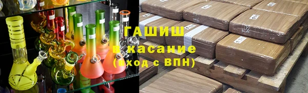 мдпв Гусев