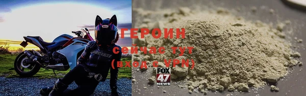 мдпв Гусев